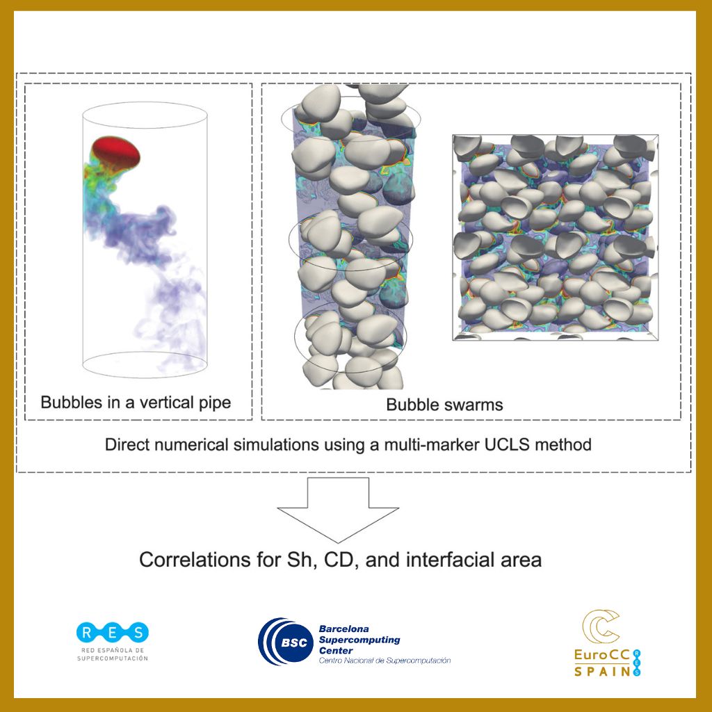 DNS de transferencia de masa en enjambres de burbujas turbulentas impulsadas por gravedad: Efecto del número de Eötvös